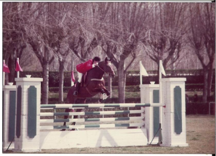 Caballos de Concursos — foto 20