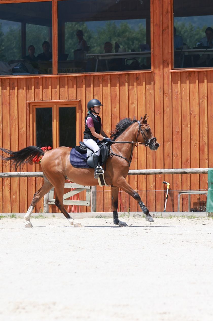 Campeonato Nacional Equitación con Ponis 2026 — foto 39