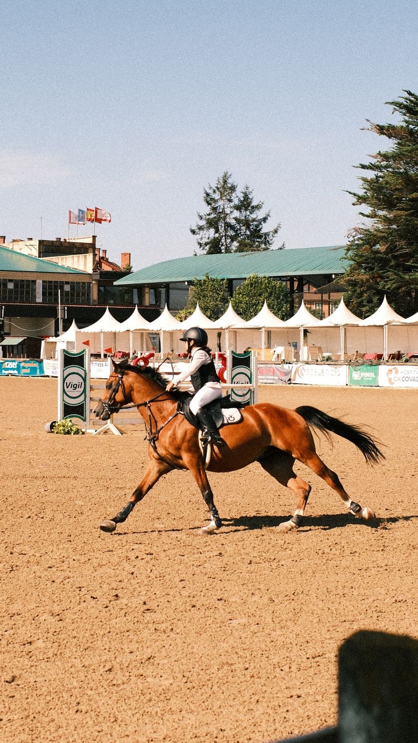 CSN 3* RUTA CHAS- FHPA — foto 16