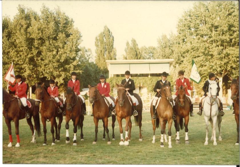 Caballos de Concursos — foto 98