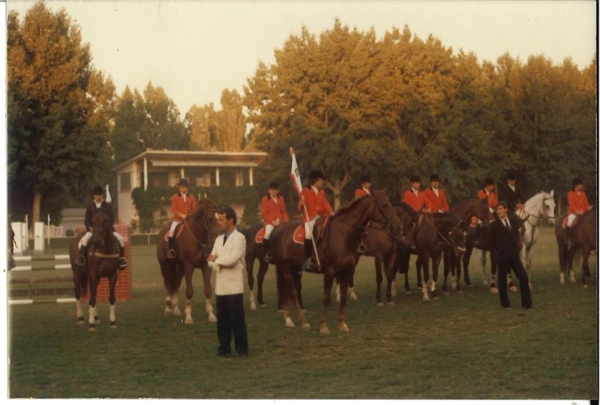 Caballos de Concursos — foto 28
