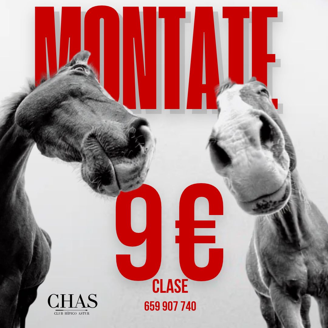 Oferta clases hípica Gijón