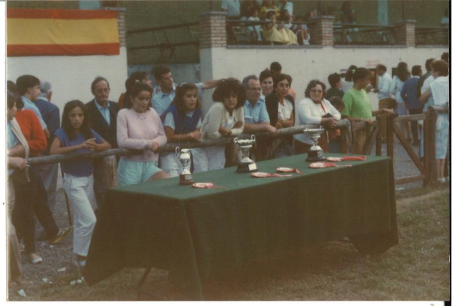 Caballos de Concursos — foto 149