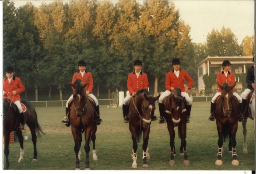 Caballos de Concursos — foto 33
