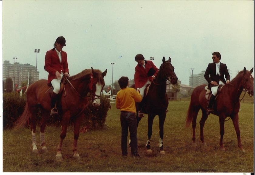 Caballos de Concursos — foto 59