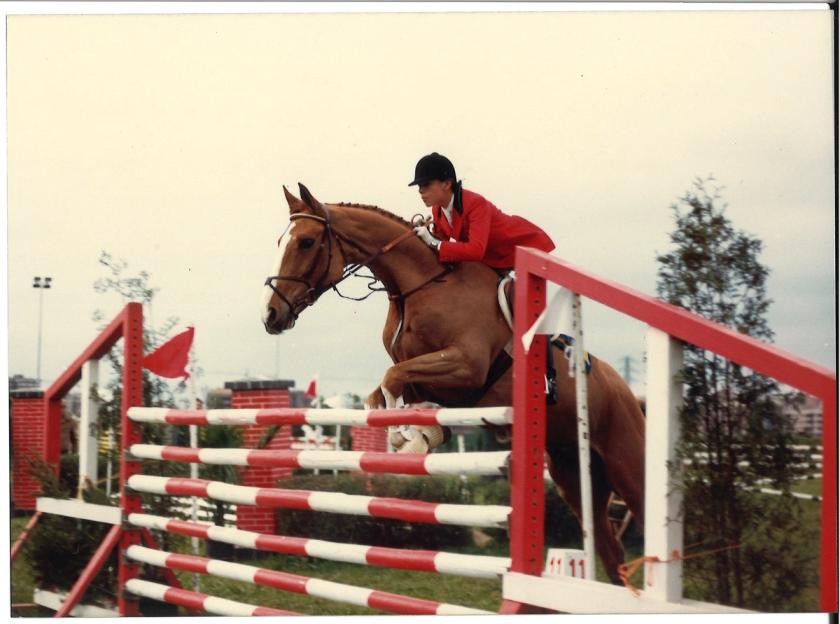 Caballos de Concursos — foto 92