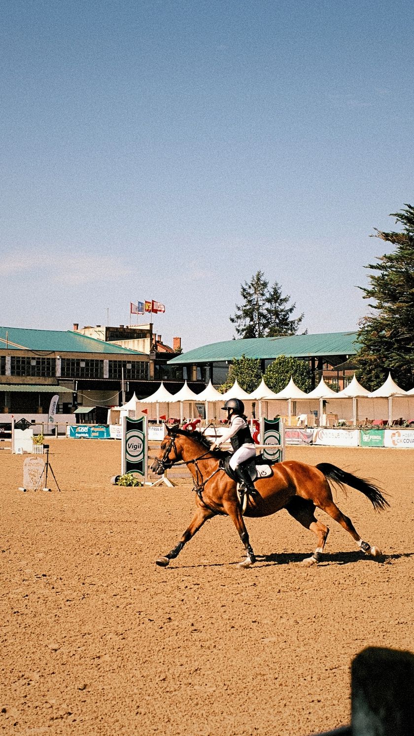 CSN 3* RUTA CHAS- FHPA — foto 3