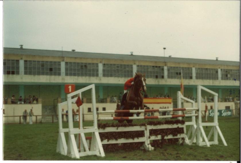 Caballos de Concursos — foto 63
