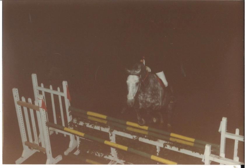 Caballos de Concursos — foto 51