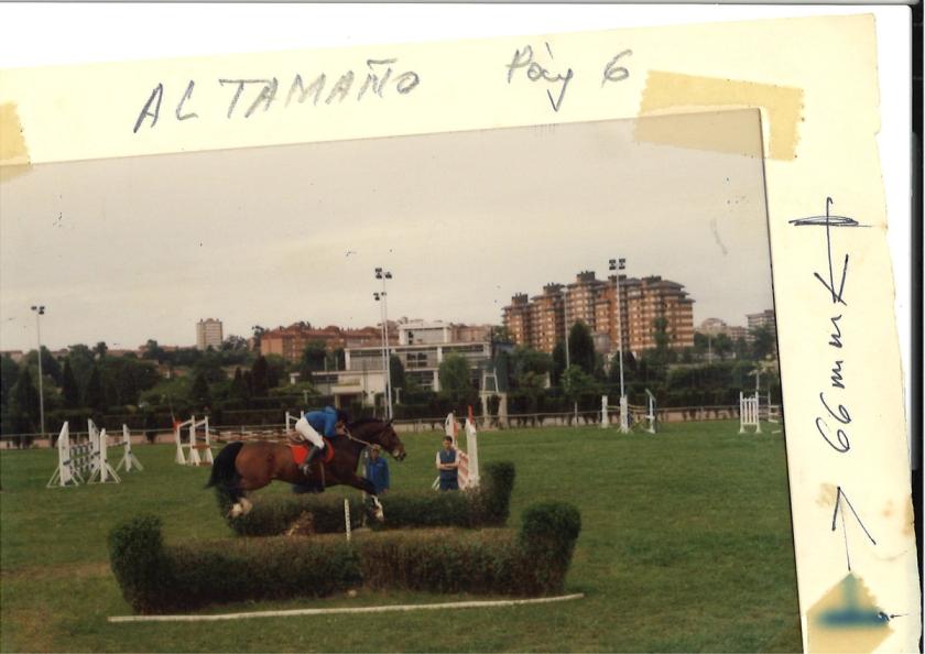 Caballos de Concursos — foto 11