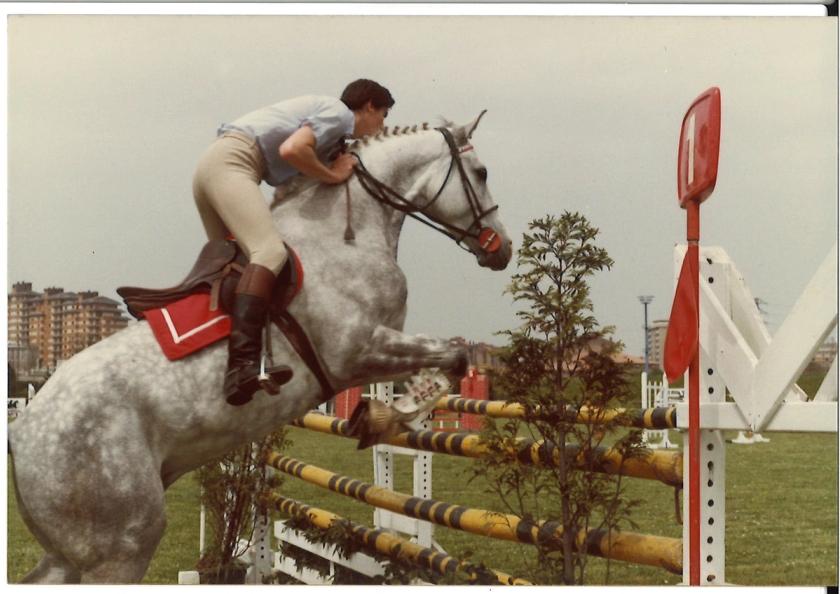 Caballos de Concursos — foto 146