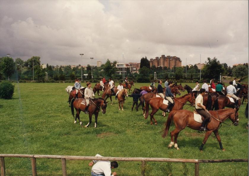Caballos de Concursos — foto 5