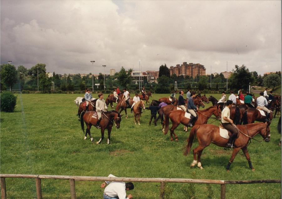 Caballos de Concursos — foto 5