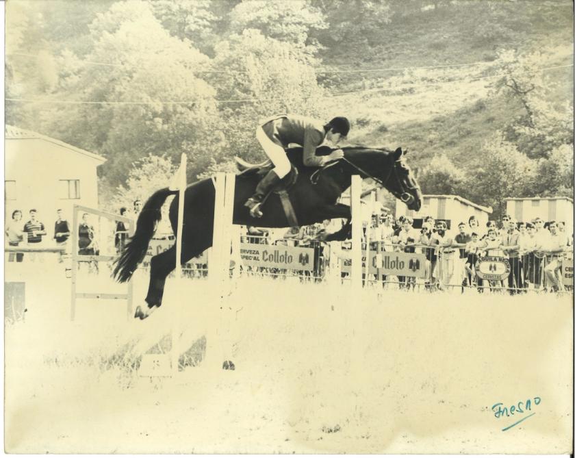 Caballos de Concursos — foto 1