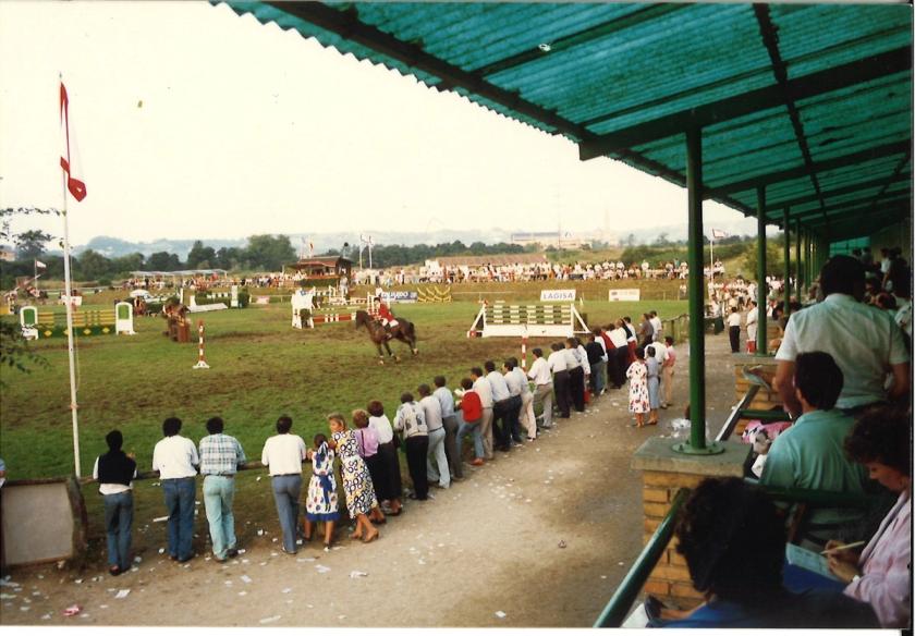 Caballos de Concursos — foto 101