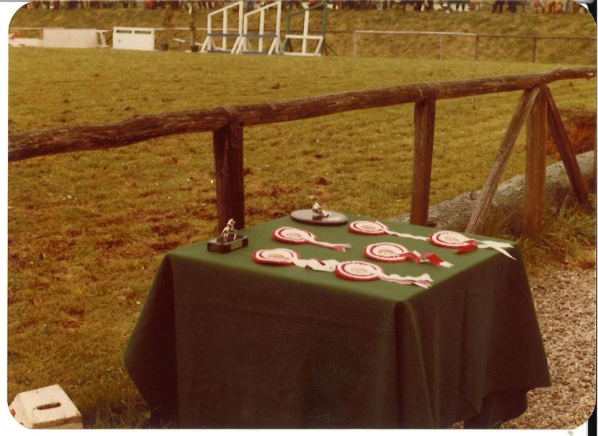 Caballos de Concursos — foto 148