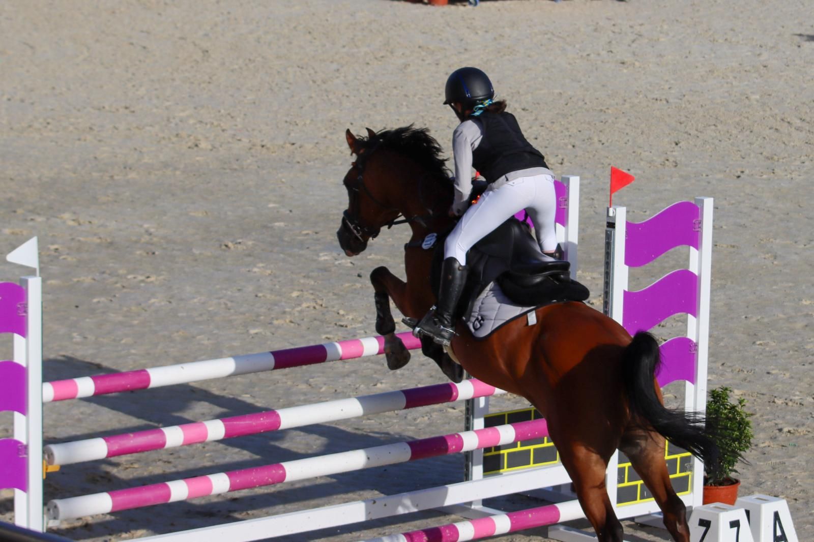 Examen de Galopes