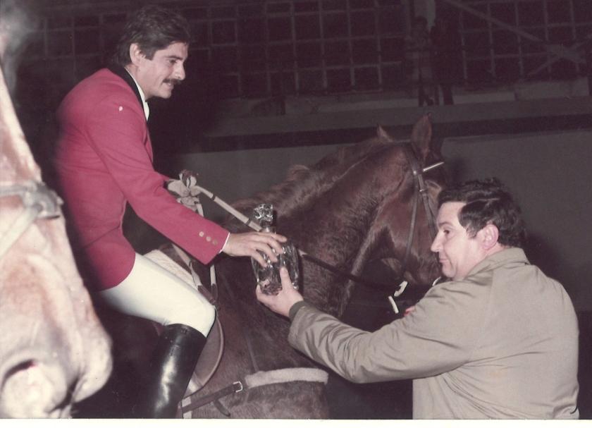 Caballos de Concursos — foto 74