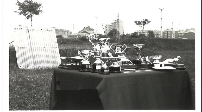 Caballos de Concursos — foto 64
