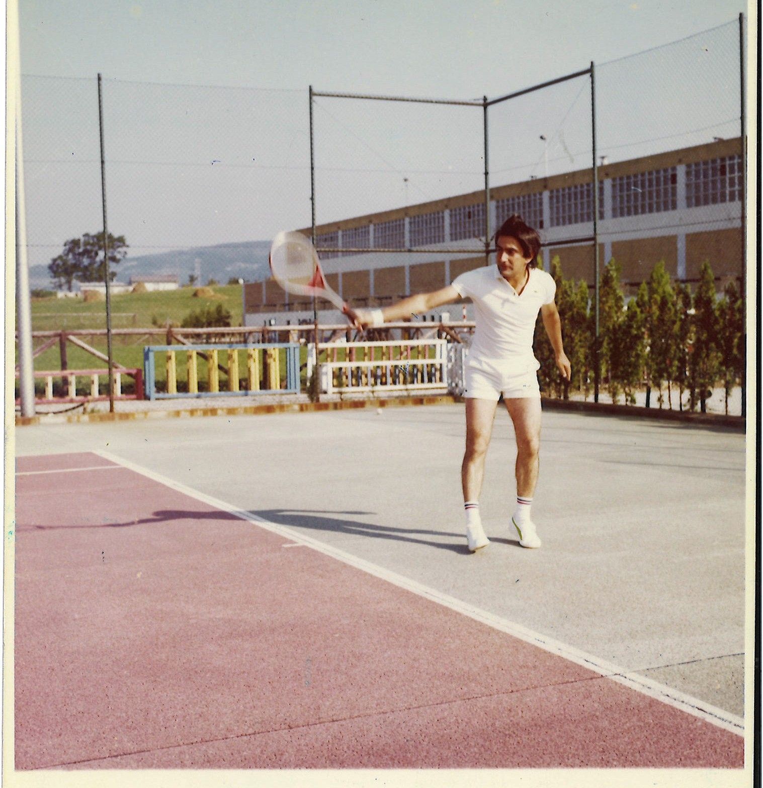 Tenis
