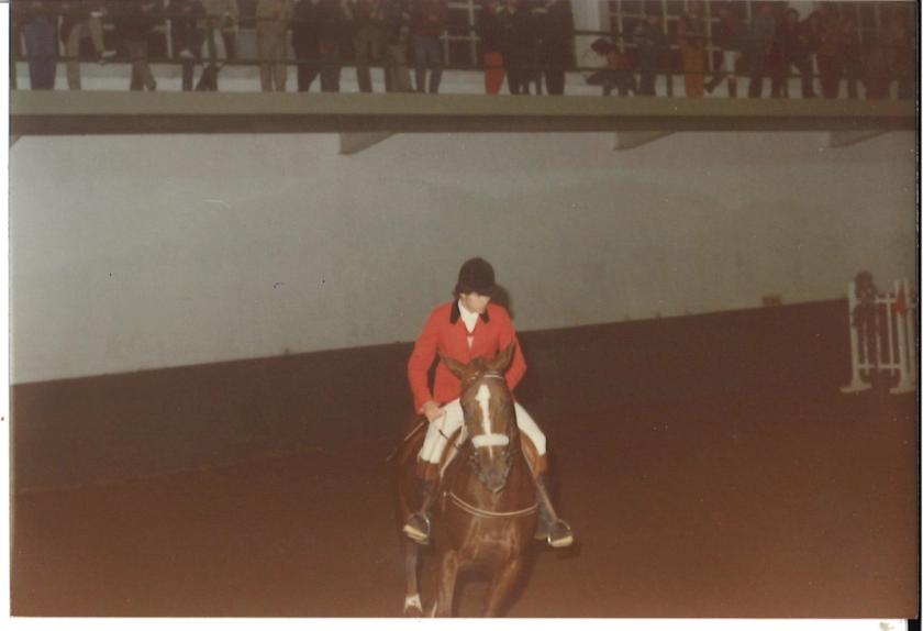 Caballos de Concursos — foto 49