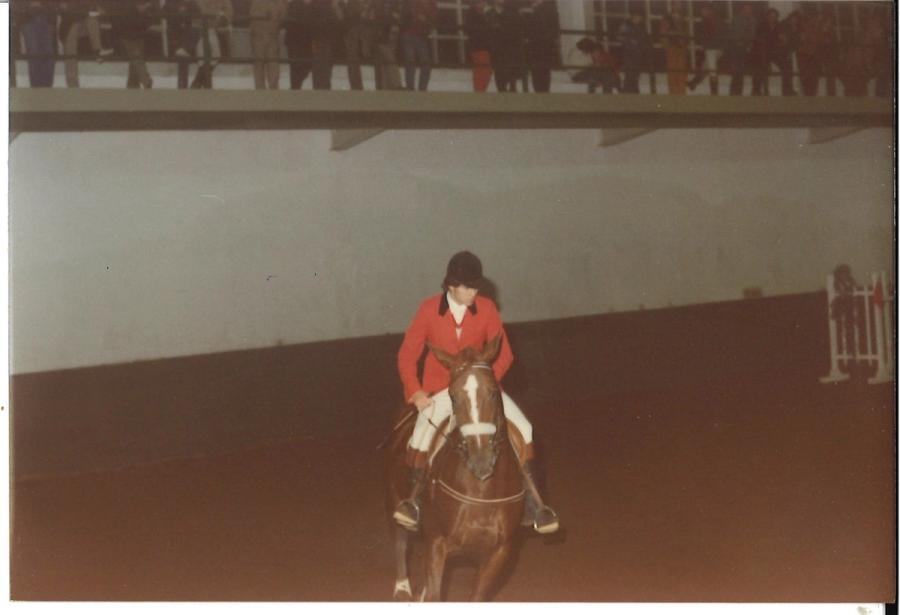 Caballos de Concursos — foto 49