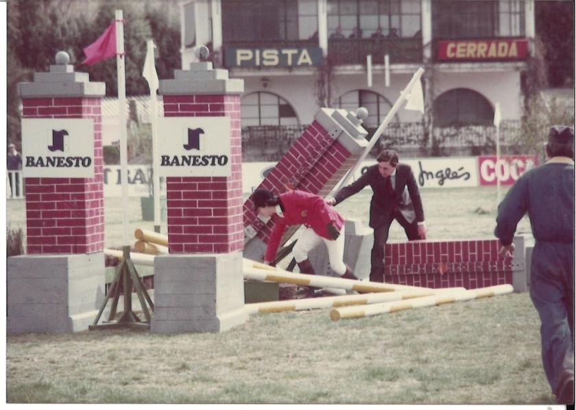 Caballos de Concursos — foto 123