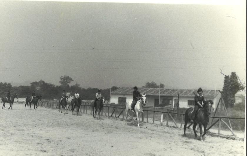 Caballos de Concursos — foto 7