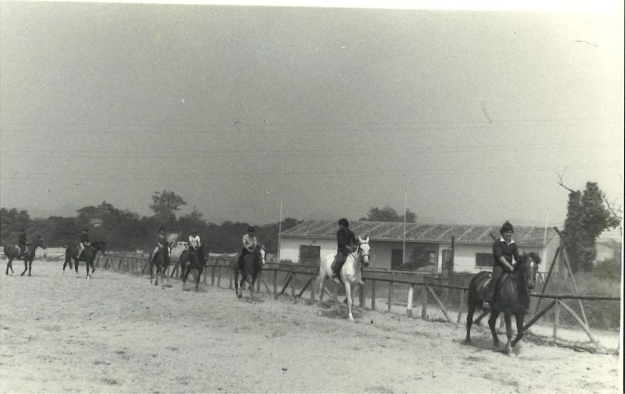 Caballos de Concursos — foto 7