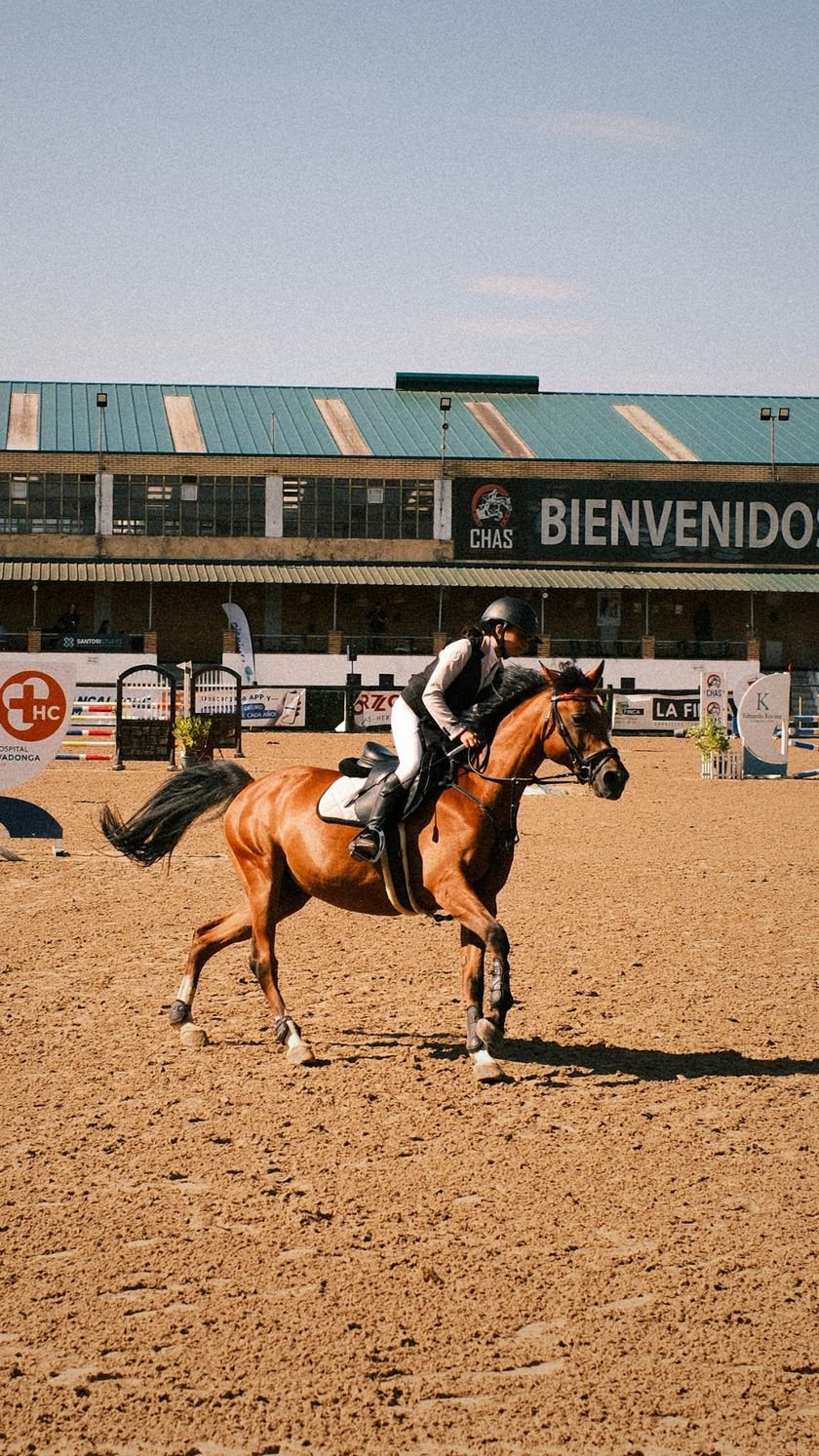 CSN 3* RUTA CHAS- FHPA — foto 6