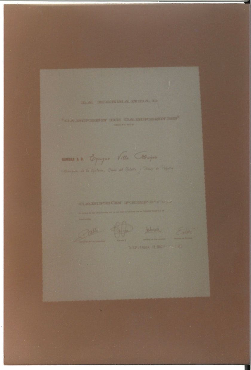 Actos sociales — foto 54