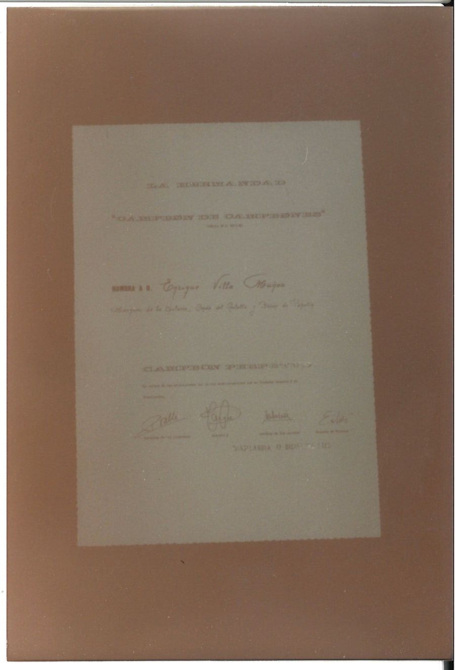 Actos sociales — foto 54
