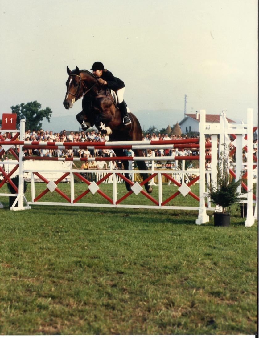 Caballos de Concursos — foto 2