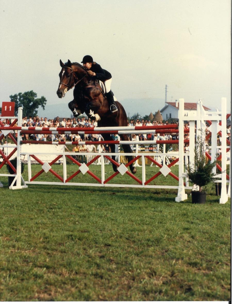 Caballos de Concursos — foto 2