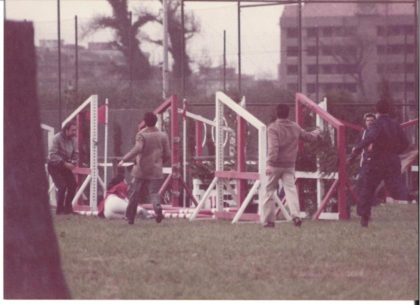 Caballos de Concursos — foto 84
