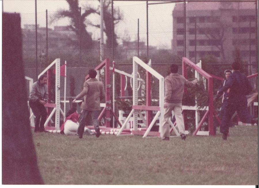 Caballos de Concursos — foto 84