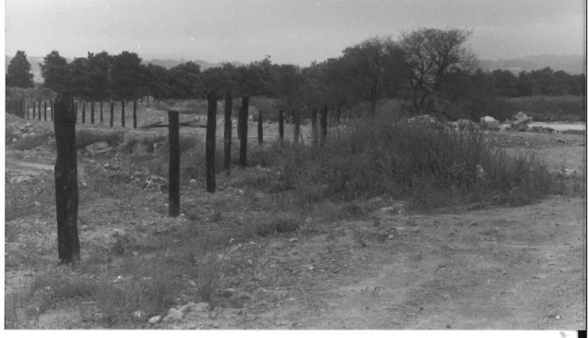 Terrenos del CHAS — foto 37