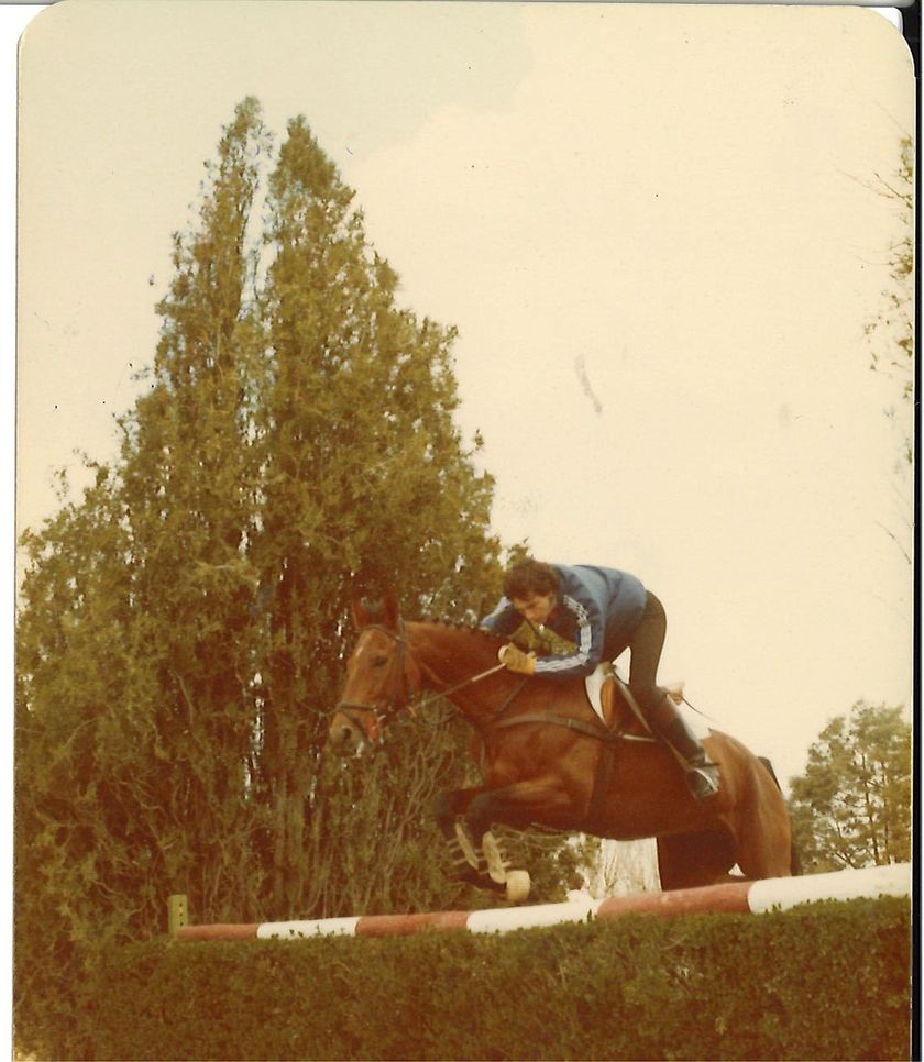 Caballos de Concursos — foto 46