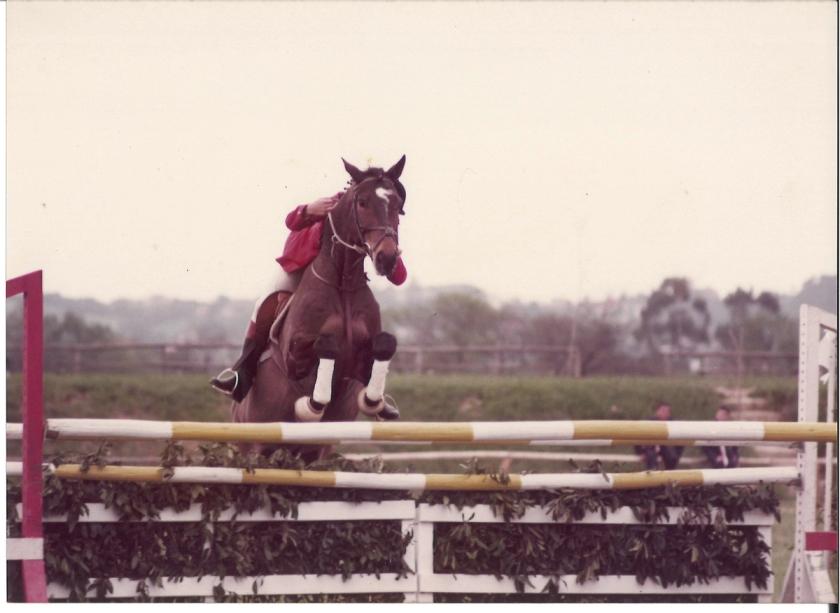 Caballos de Concursos — foto 85