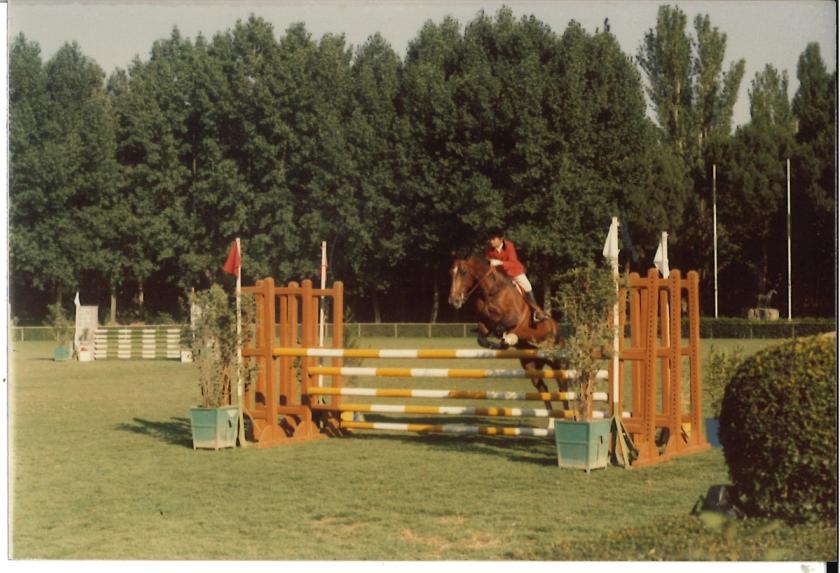 Caballos de Concursos — foto 39