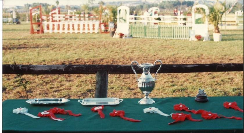 Caballos de Concursos — foto 78