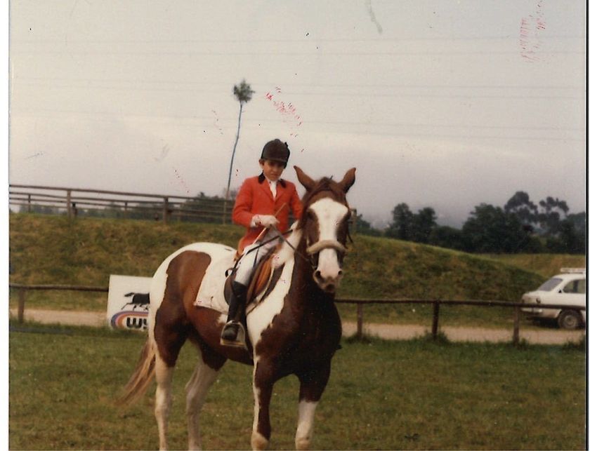 Caballos de Concursos — foto 35