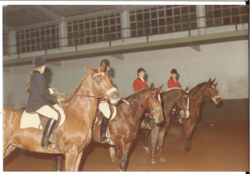 Caballos de Concursos — foto 56