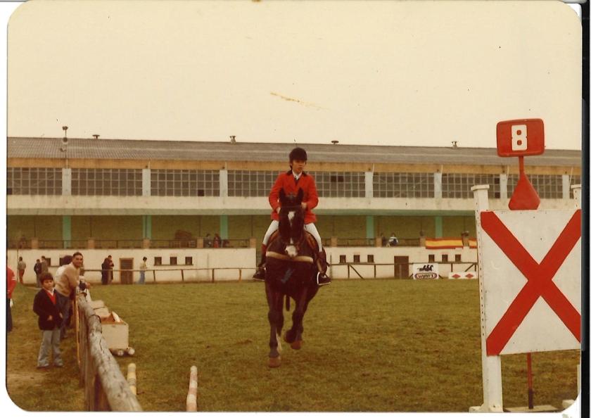 Caballos de Concursos — foto 58