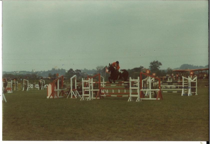 Caballos de Concursos — foto 22