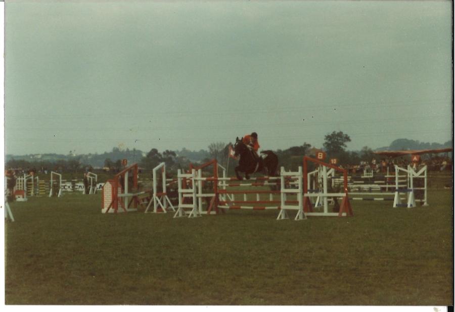 Caballos de Concursos — foto 22