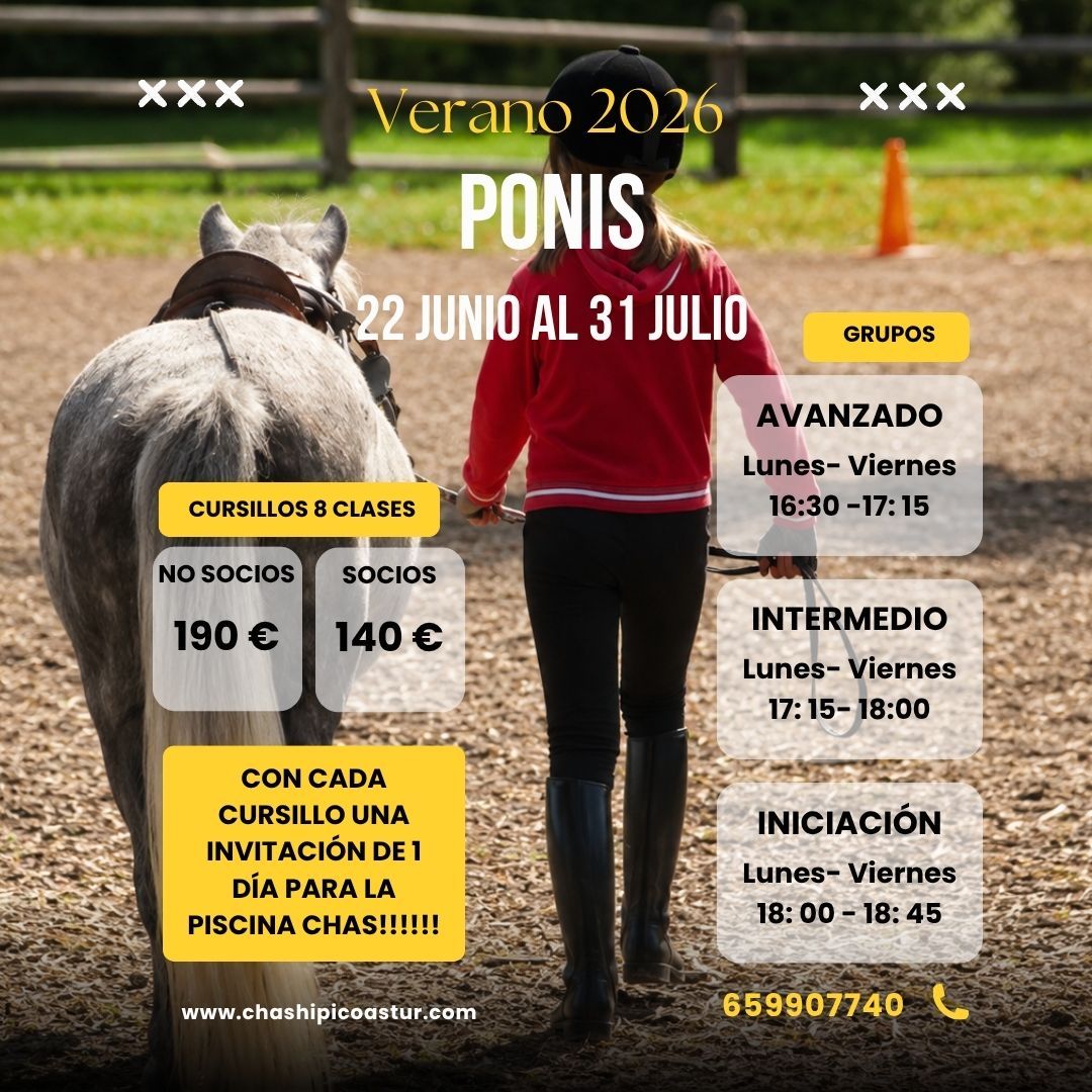 Cursillos poni verano 2026 CHAS