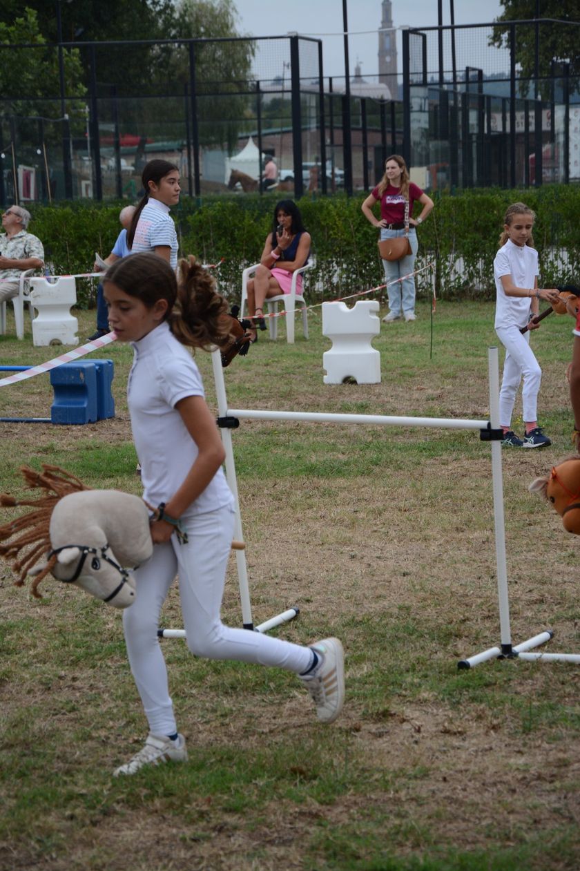 Concurso CHAS Hobby Horsing  — foto 19