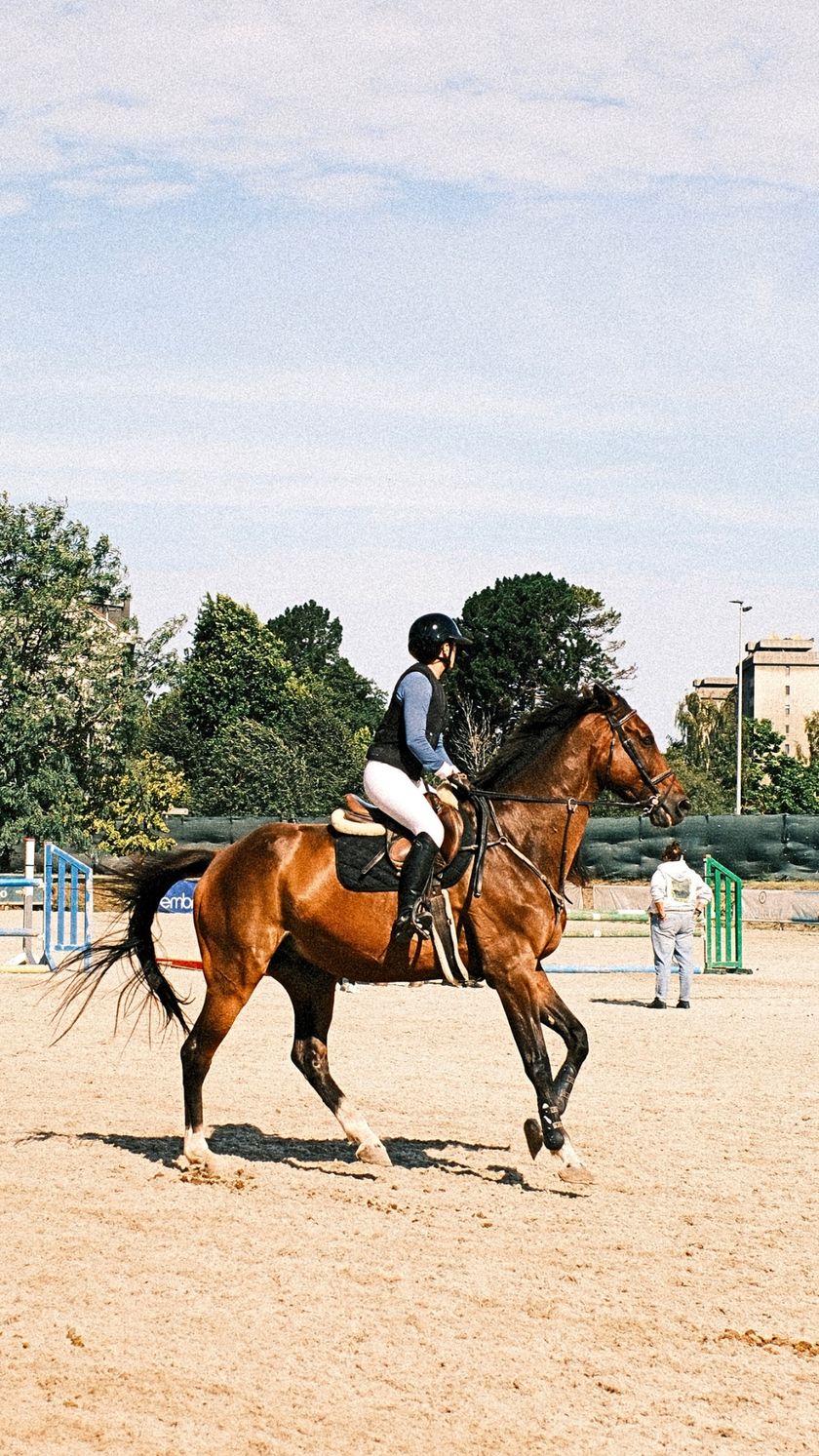 CSN 3* RUTA CHAS- FHPA — foto 2