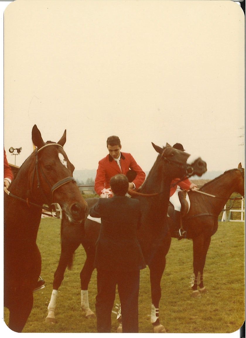 Caballos de Concursos — foto 120